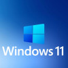 Buy Microsoft Windows 11 Pro USB - Permanent Retail License