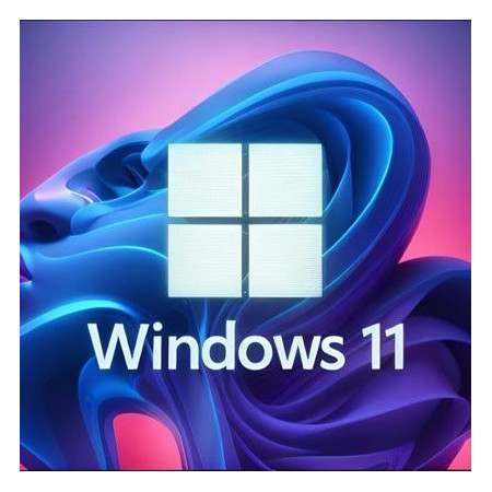 Buy Microsoft Windows 11 Pro USB - Permanent Retail License