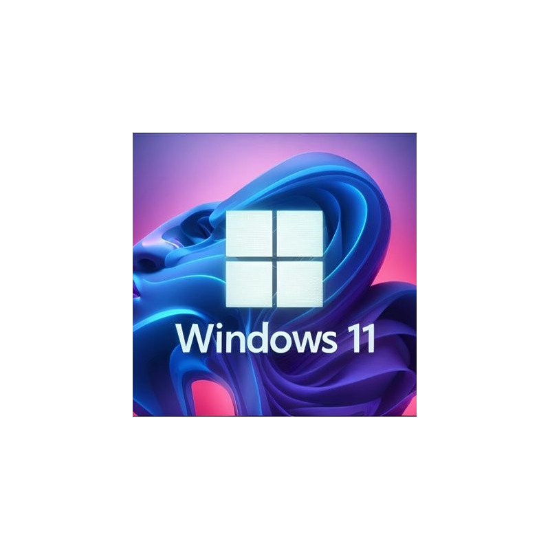 Buy Microsoft Windows 11 Pro USB - Permanent Retail License