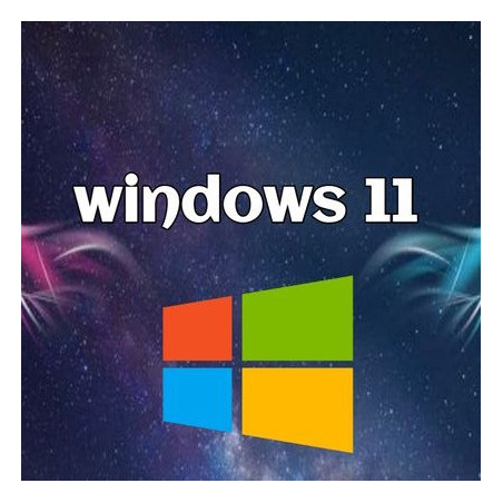 Buy Microsoft Windows 11 Pro USB - Retail, Permanent License
