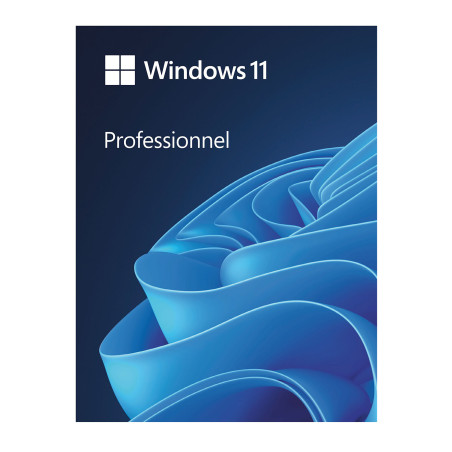 Buy Microsoft Windows 11 Pro USB - Retail, Permanent License