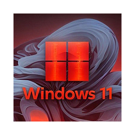 Buy Microsoft Windows 11 Pro USB - Retail Version with Permanent License