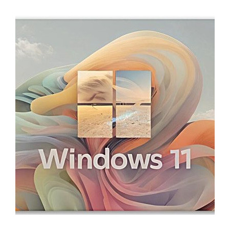 Buy Microsoft Windows 11 Pro USB - Permanent Retail License