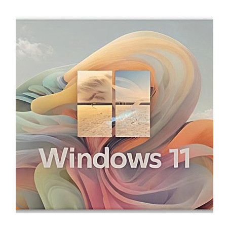 Buy Microsoft Windows 11 Pro USB - Permanent Retail License