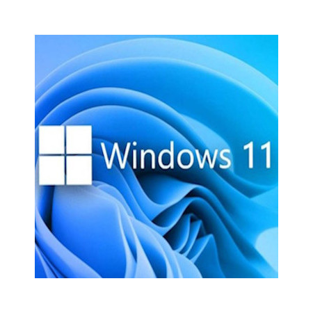 Buy Microsoft Windows 11 Pro USB - Retail Version with Permanent License