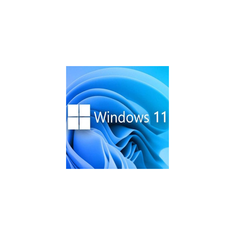 Buy Microsoft Windows 11 Pro USB - Retail Version with Permanent License