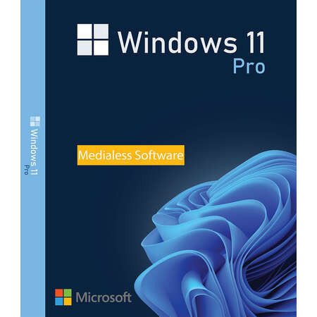Buy Microsoft Windows 11 Pro USB - Retail Version with Permanent License