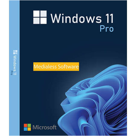 Buy Microsoft Windows 11 Pro USB - Retail Version with Permanent License