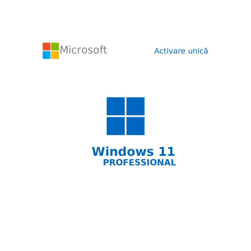 Buy Microsoft Windows 11 Pro USB - Permanent Retail License