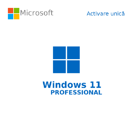 Buy Microsoft Windows 11 Pro USB - Permanent Retail License