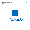 Buy Microsoft Windows 11 Pro USB - Permanent Retail License