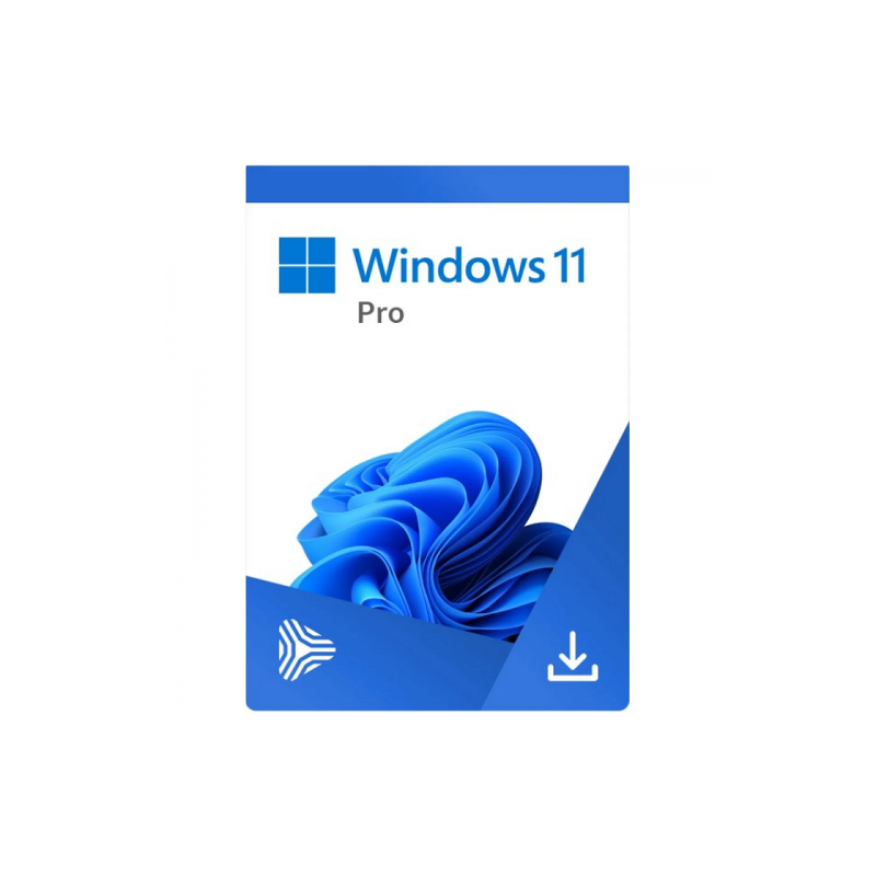 Buy Microsoft Windows 11 Pro USB - Permanent Retail License