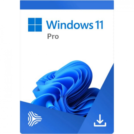 Buy Microsoft Windows 11 Pro USB - Permanent Retail License