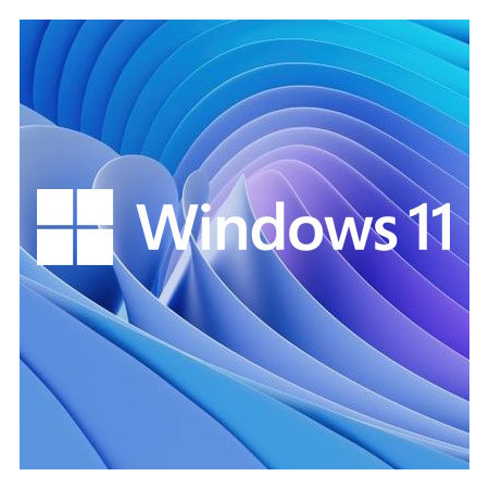Buy Microsoft Windows 11 Pro USB - Permanent Retail License