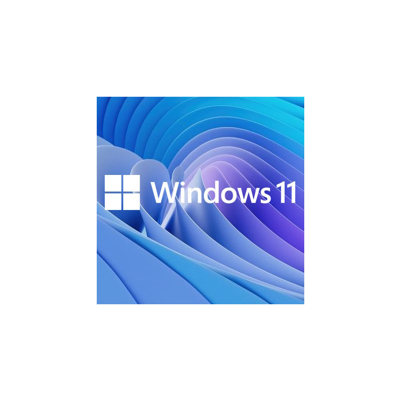 Buy Microsoft Windows 11 Pro USB - Permanent Retail License