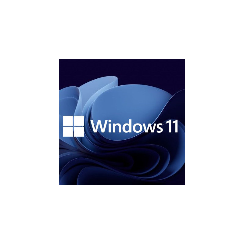Buy Microsoft Windows 11 Pro USB - Retail Version with Permanent License