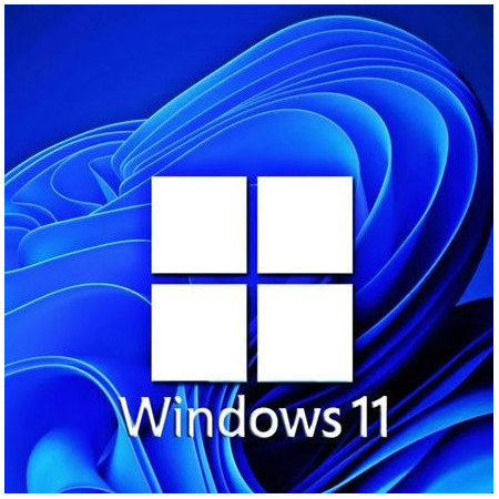 Buy Microsoft Windows 11 Pro USB - Retail Version with Permanent License