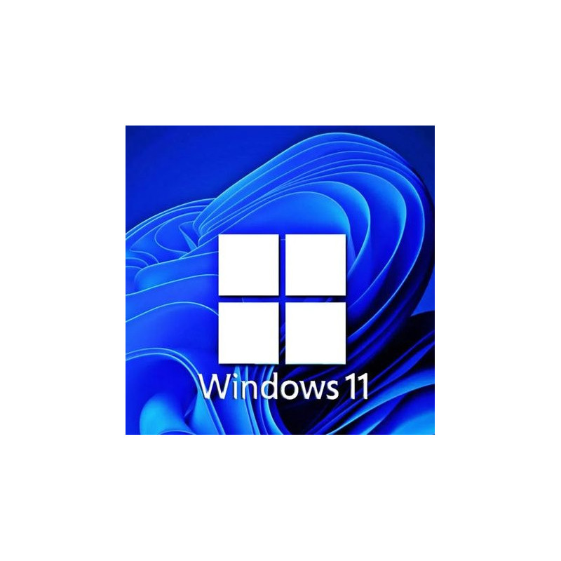Buy Microsoft Windows 11 Pro USB - Retail Version with Permanent License