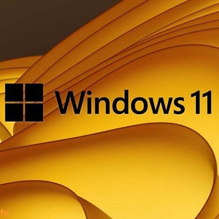 Buy Microsoft Windows 11 Pro USB - Permanent Retail License