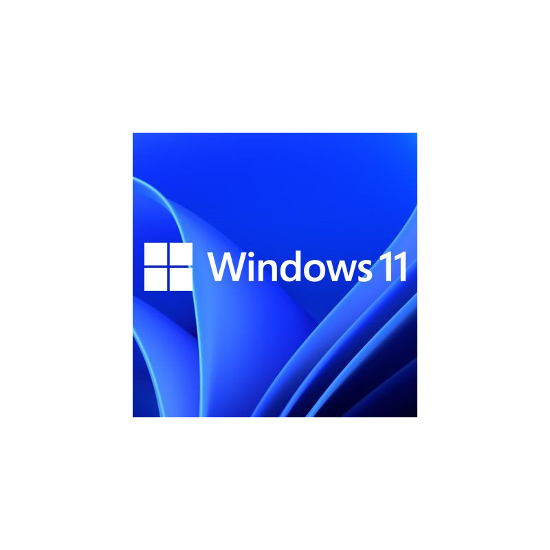 Buy Microsoft Windows 11 Pro USB - Retail License | Permanent Activation