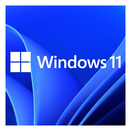 Buy Microsoft Windows 11 Pro USB - Retail License | Permanent Activation