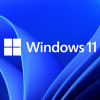 Buy Microsoft Windows 11 Pro USB - Retail License | Permanent Activation