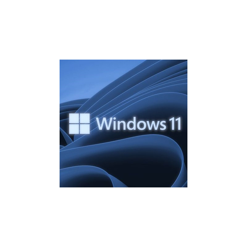 Buy Microsoft Windows 11 Pro USB - Permanent Retail License