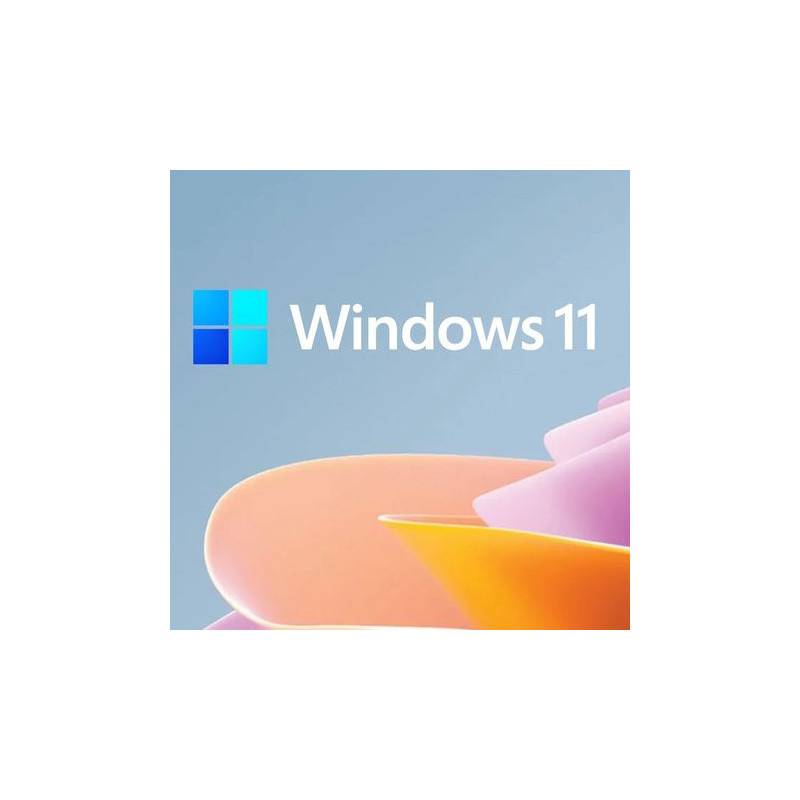 Buy Microsoft Windows 11 Pro USB - Retail Version with Permanent License