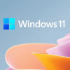 Buy Microsoft Windows 11 Pro USB - Retail Version with Permanent License