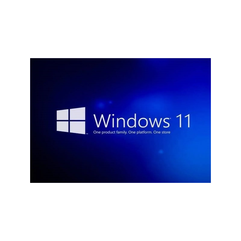 Buy Microsoft Windows 11 Pro USB - Permanent Retail License