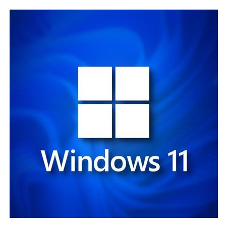 Buy Microsoft Windows 11 Pro USB - Retail Version with Permanent License
