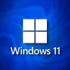 Buy Microsoft Windows 11 Pro USB - Retail Version with Permanent License