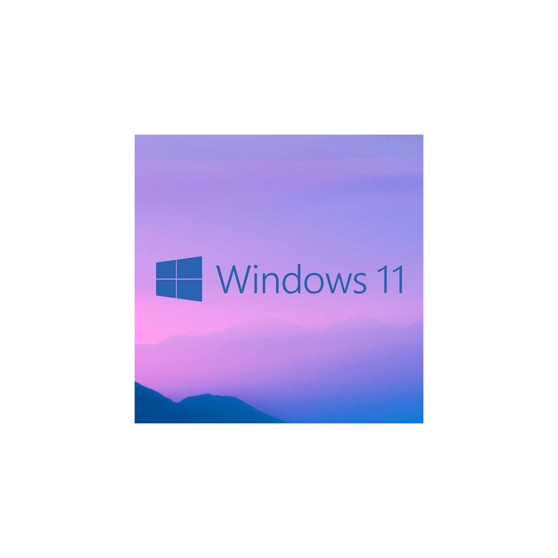 Buy Microsoft Windows 11 Pro USB - Retail License | Permanent Activation