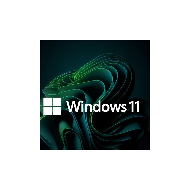 Buy Microsoft Windows 11 Pro USB - Permanent Retail License