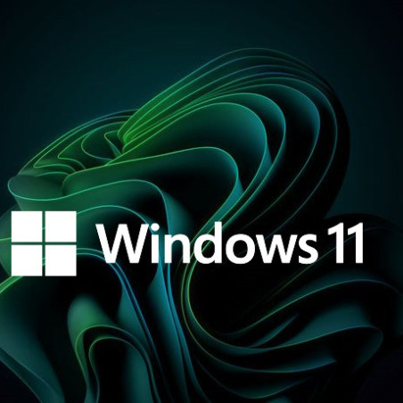 Buy Microsoft Windows 11 Pro USB - Permanent Retail License