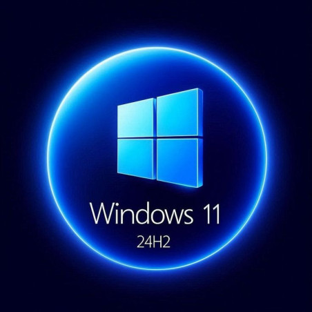 Buy Microsoft Windows 11 Pro USB - Permanent Retail License