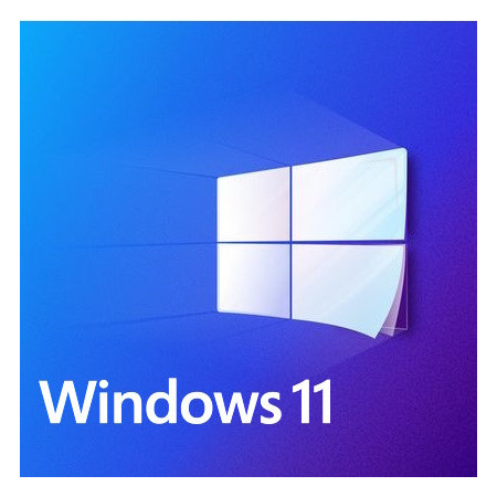 Buy Microsoft Windows 11 Pro USB - Retail Version with Permanent License