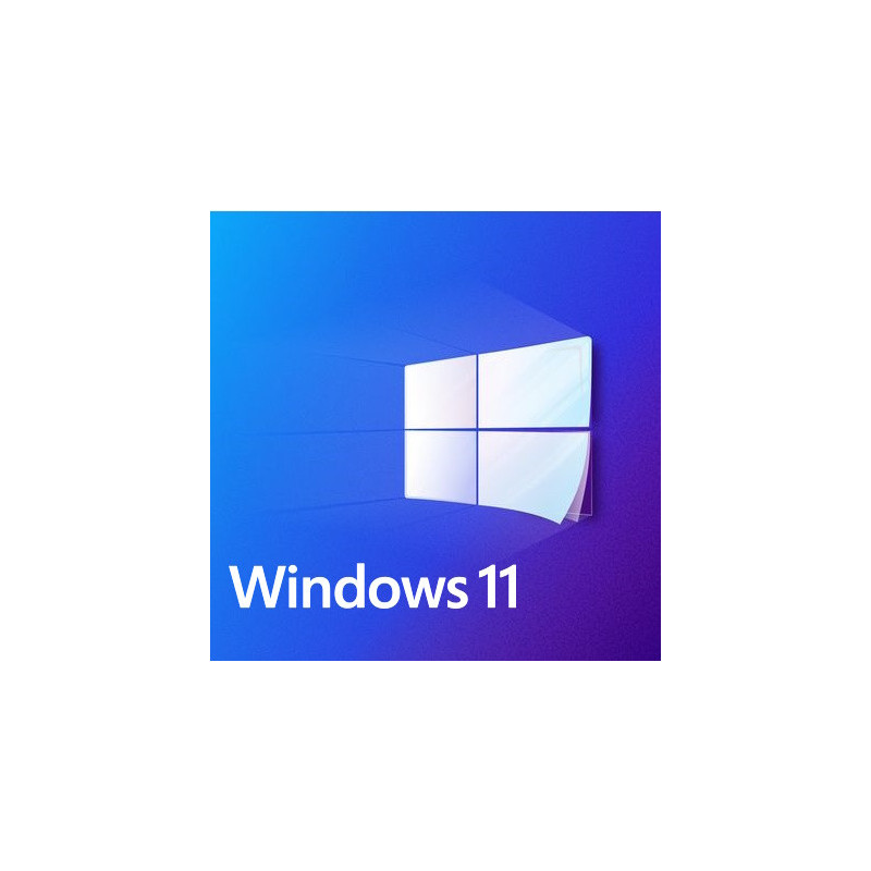 Buy Microsoft Windows 11 Pro USB - Retail Version with Permanent License