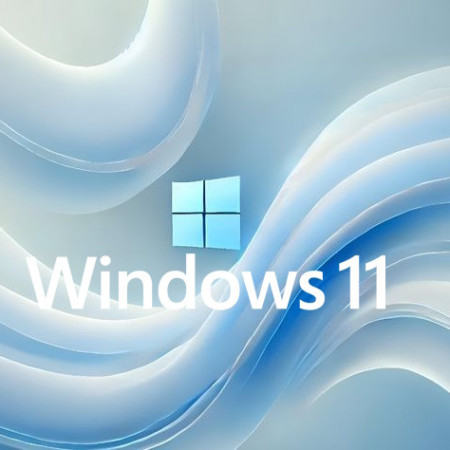 Buy Microsoft Windows 11 Pro USB - Permanent Retail License