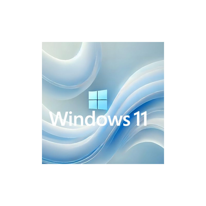 Buy Microsoft Windows 11 Pro USB - Permanent Retail License