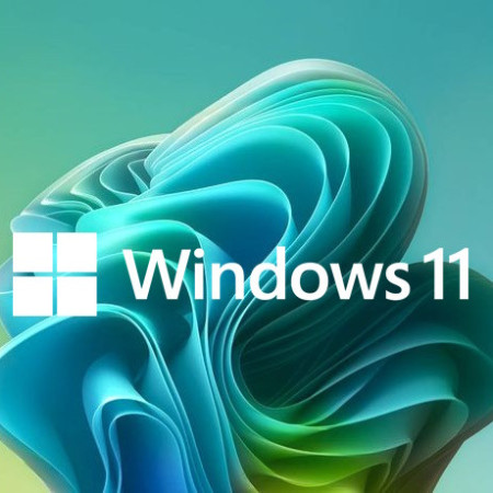 Buy Microsoft Windows 11 Pro USB - Permanent Retail License