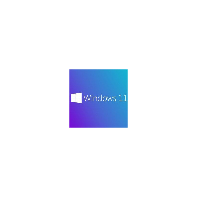 Buy Microsoft Windows 11 Pro USB - Permanent Retail License