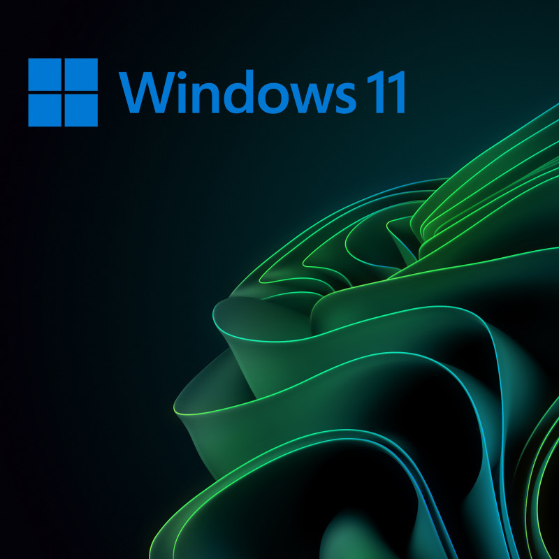 Buy Microsoft Windows 11 Pro USB - Permanent Retail License