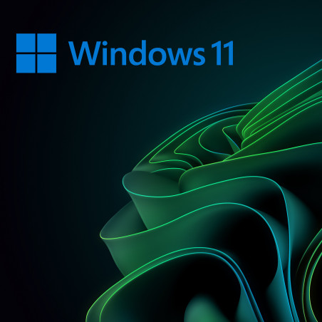 Buy Microsoft Windows 11 Pro USB - Permanent Retail License