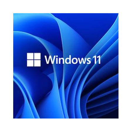 Buy Microsoft Windows 11 Pro USB - Permanent Retail License