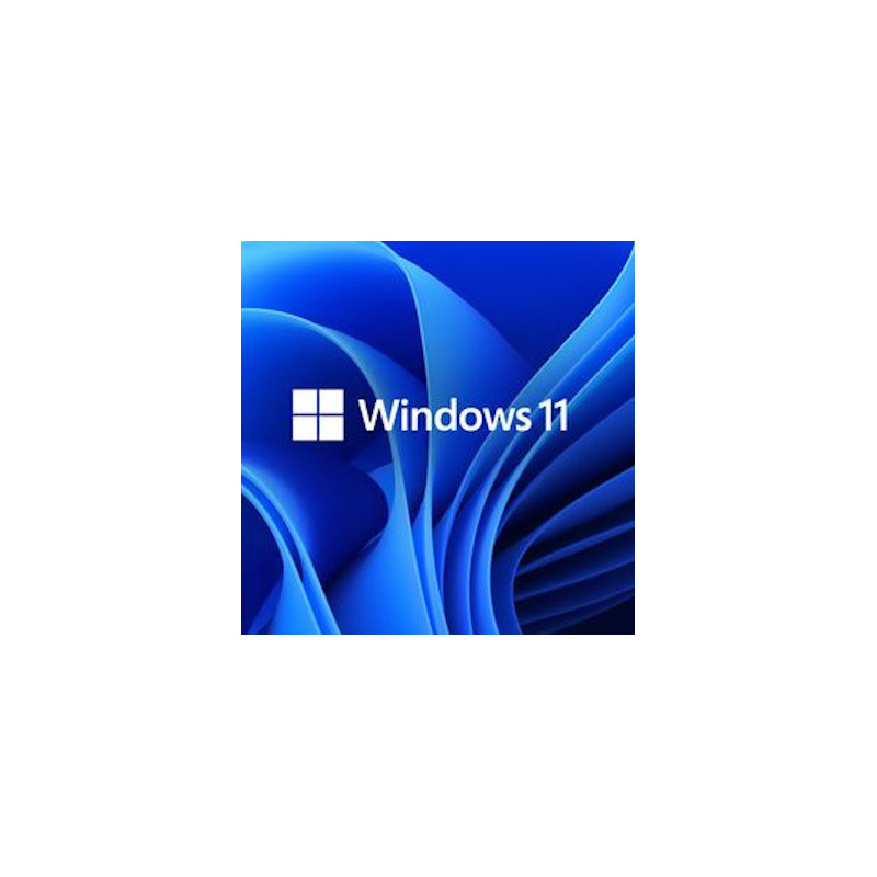 Buy Microsoft Windows 11 Pro USB - Permanent Retail License