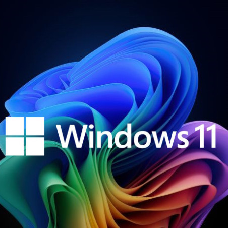 Buy Microsoft Windows 11 Pro USB - Permanent Retail License