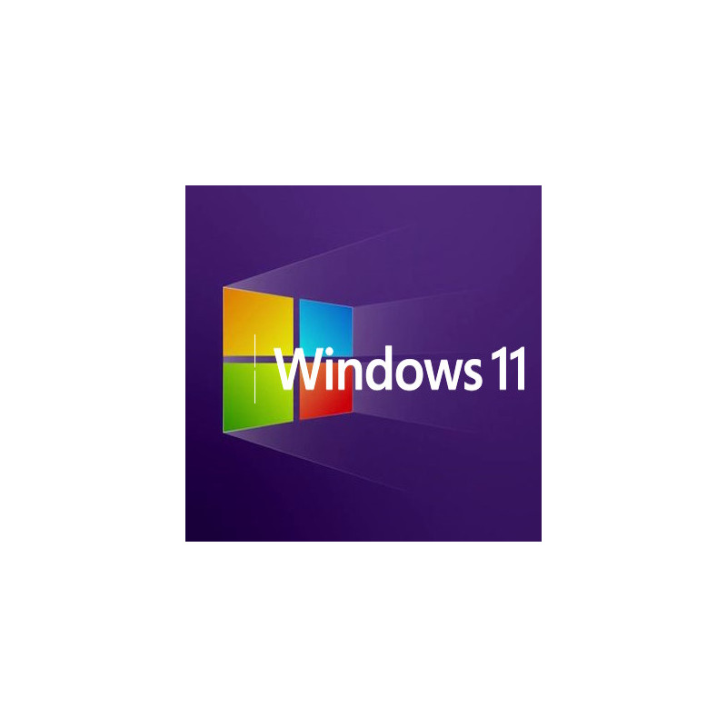 Buy Microsoft Windows 11 Pro USB - Retail, Permanent License
