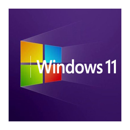 Buy Microsoft Windows 11 Pro USB - Retail, Permanent License
