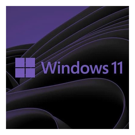 Buy Microsoft Windows 11 Pro USB - Permanent Retail License